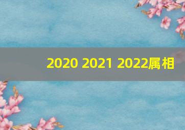 2020 2021 2022属相